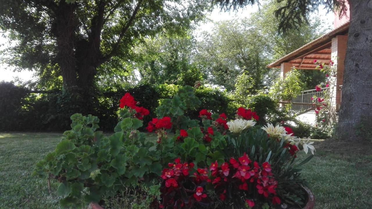 Villa Pietralta Sorrento Dış mekan fotoğraf