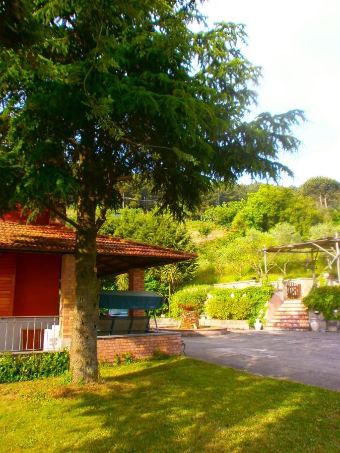 Villa Pietralta Sorrento Dış mekan fotoğraf