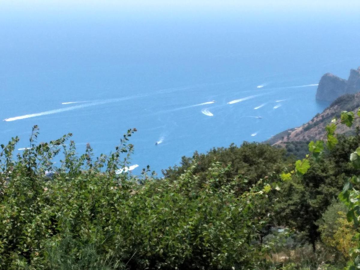 Villa Pietralta Sorrento Dış mekan fotoğraf